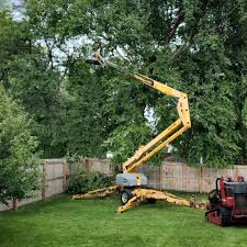 Trusted Meadow Oaks, FL Tree Removal and Landscaping Services Experts